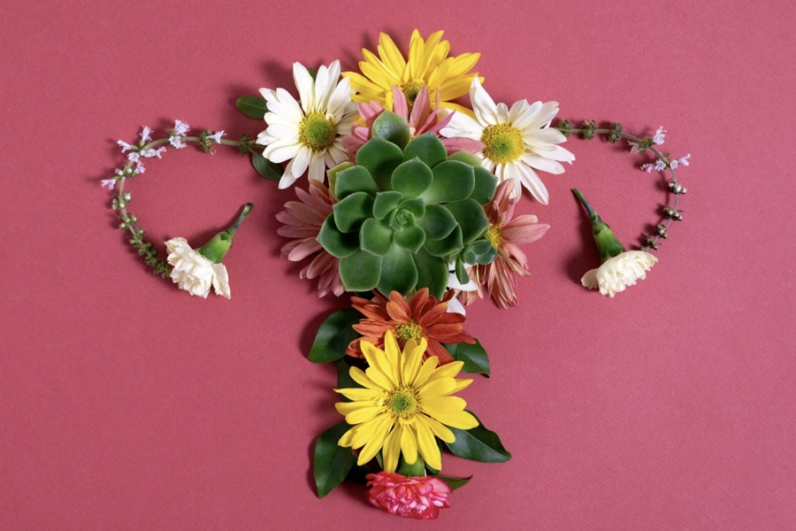 Lazerle Vajina Daraltma